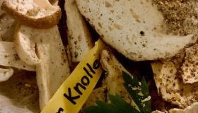 Eine Belper Knolle angeschnitten mit ein paar rohen aromatischen Steinpilzen.