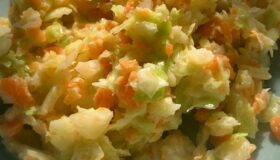Coleslaw auf einem kleinen Salatteller angerichtet.