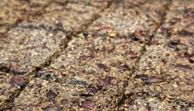 Low-Carb Chia-Knäckebrot frisch aus dem Ofen