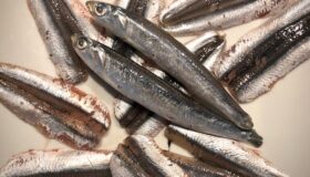 Zwei Sardinen im ganzen und einige Sardinenfilets auf einem weißen Teller.